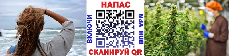 Где купить наркоту Болхов COCAIN Меф Гашиш СОЛЬ KRAKEN как зайти Канабис