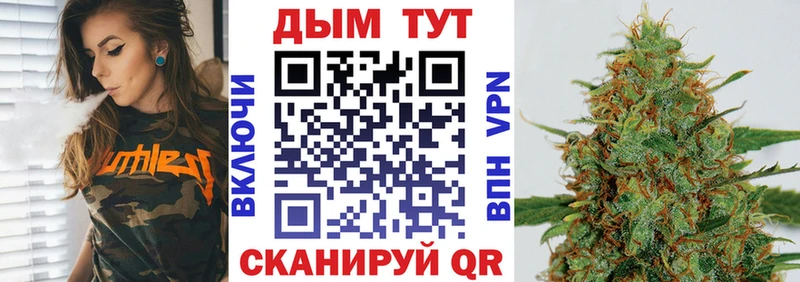 Бошки марихуана сатива  MEGA ССЫЛКА  Болхов 